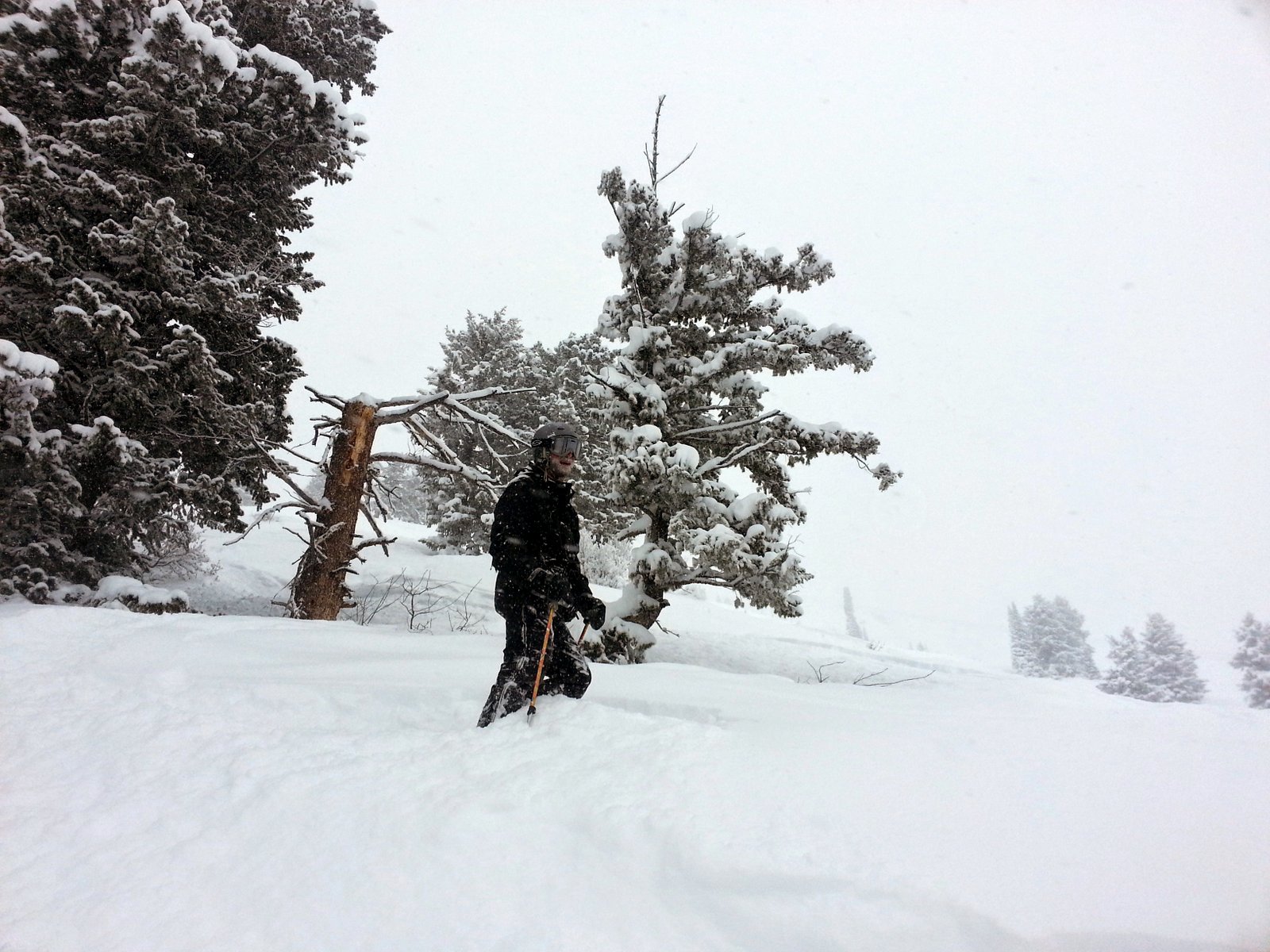 Sam in the snow