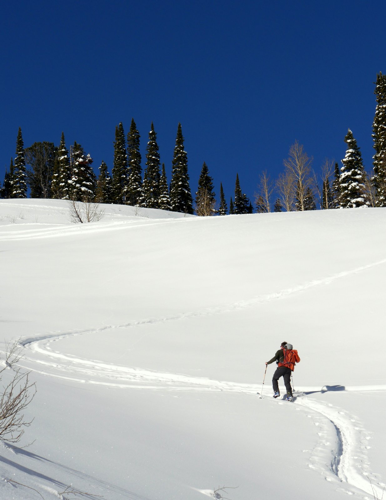 Sam taking Chris's trail out