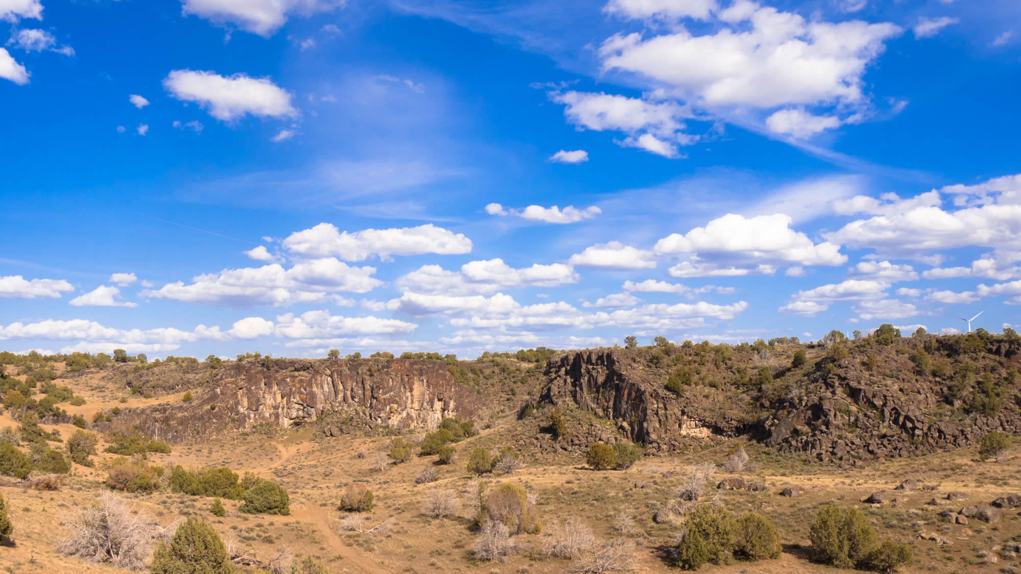 Landscape Bright