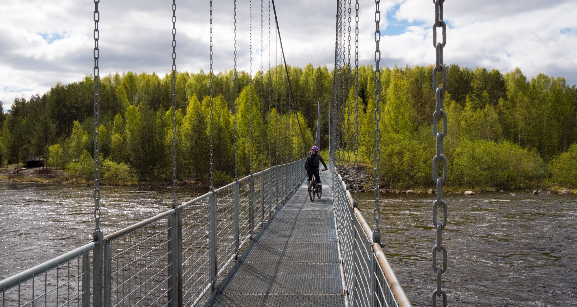 Jenn crossing