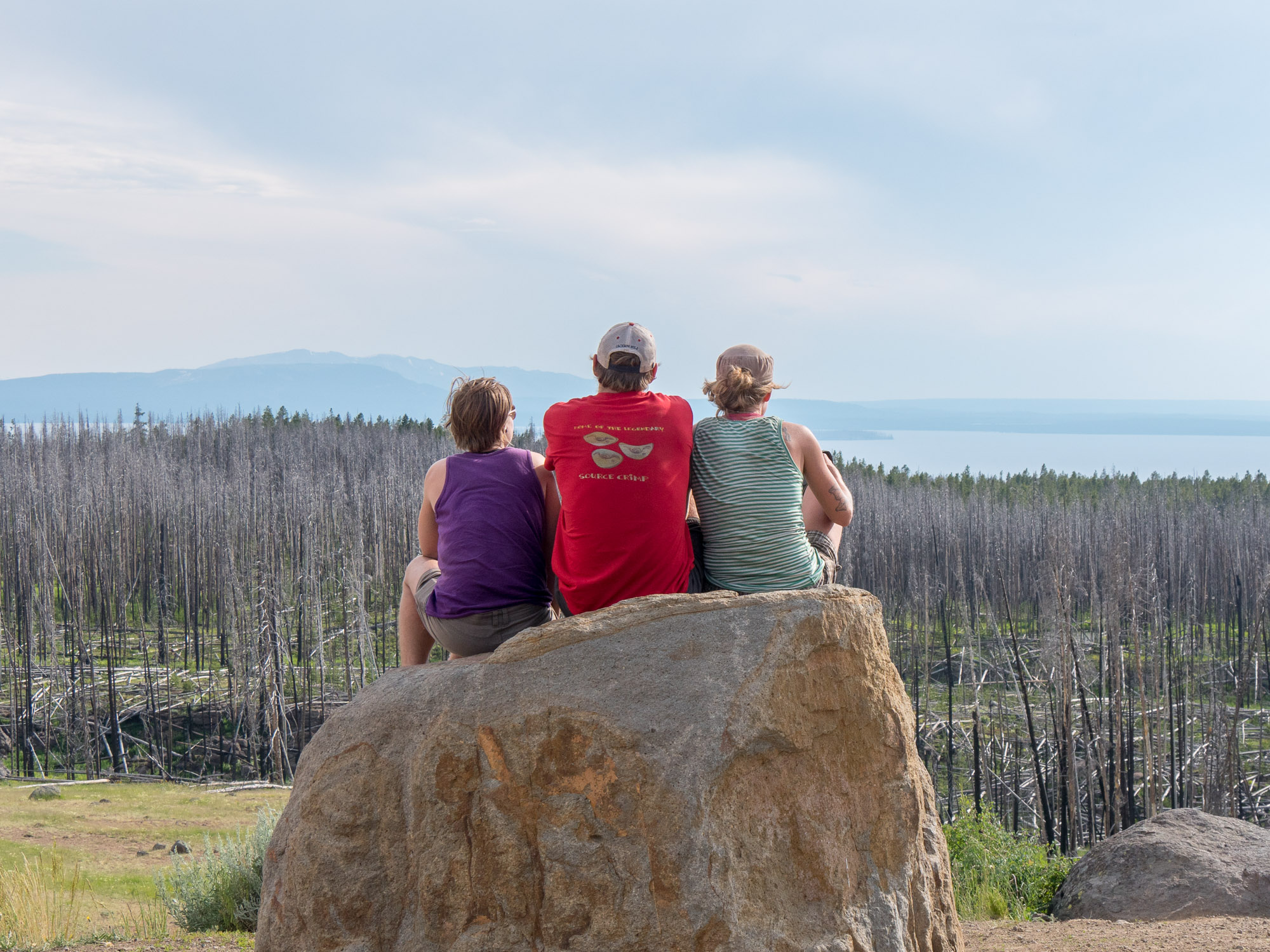 Three on a rock