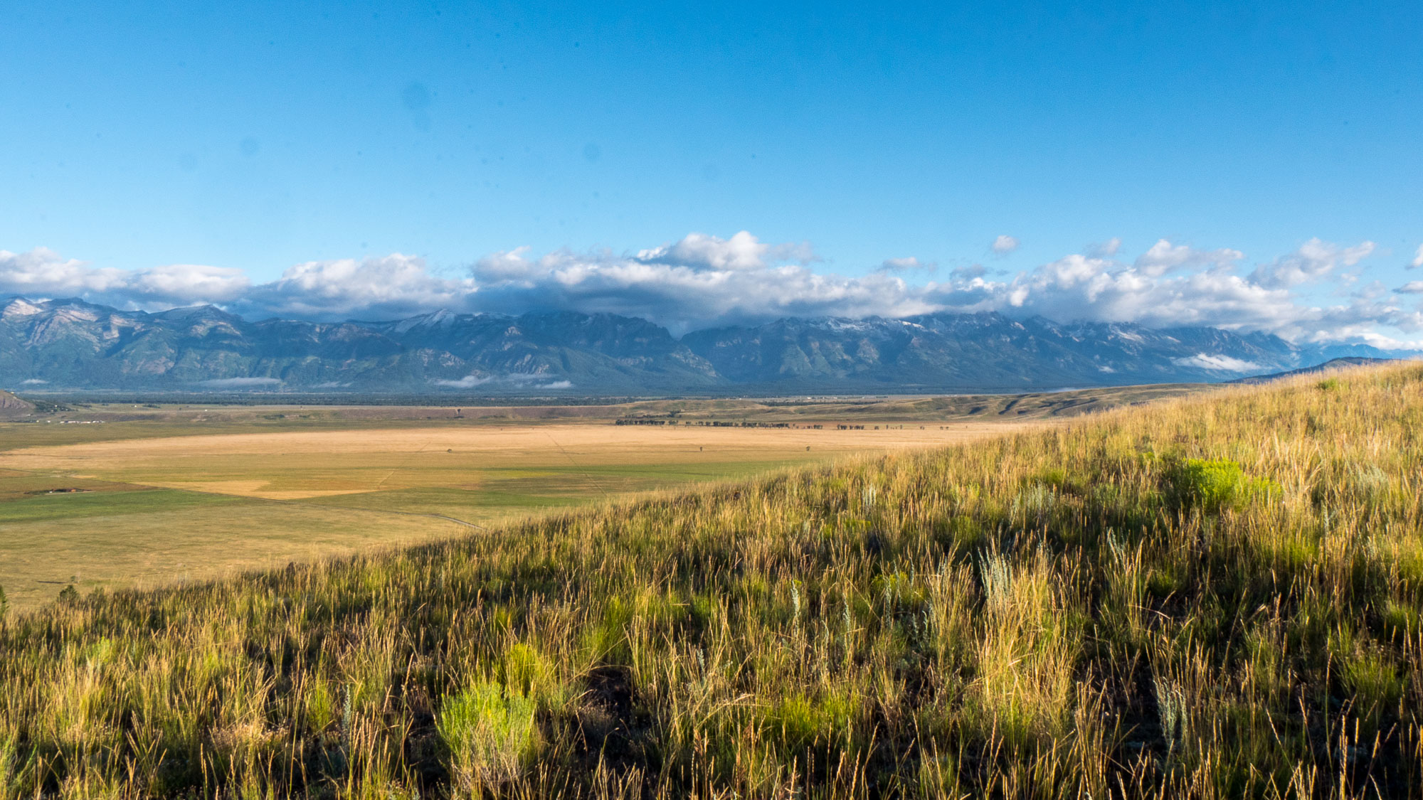 The Tetons from Curtis