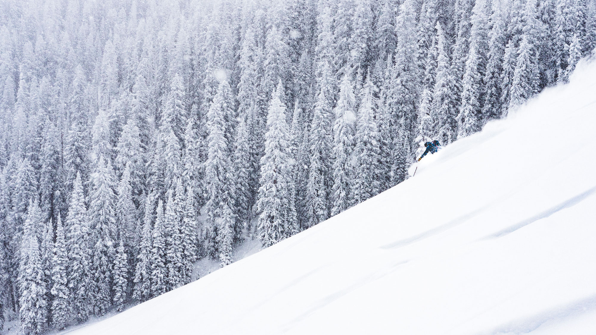 Chris rips down Thanksgiving Bowl