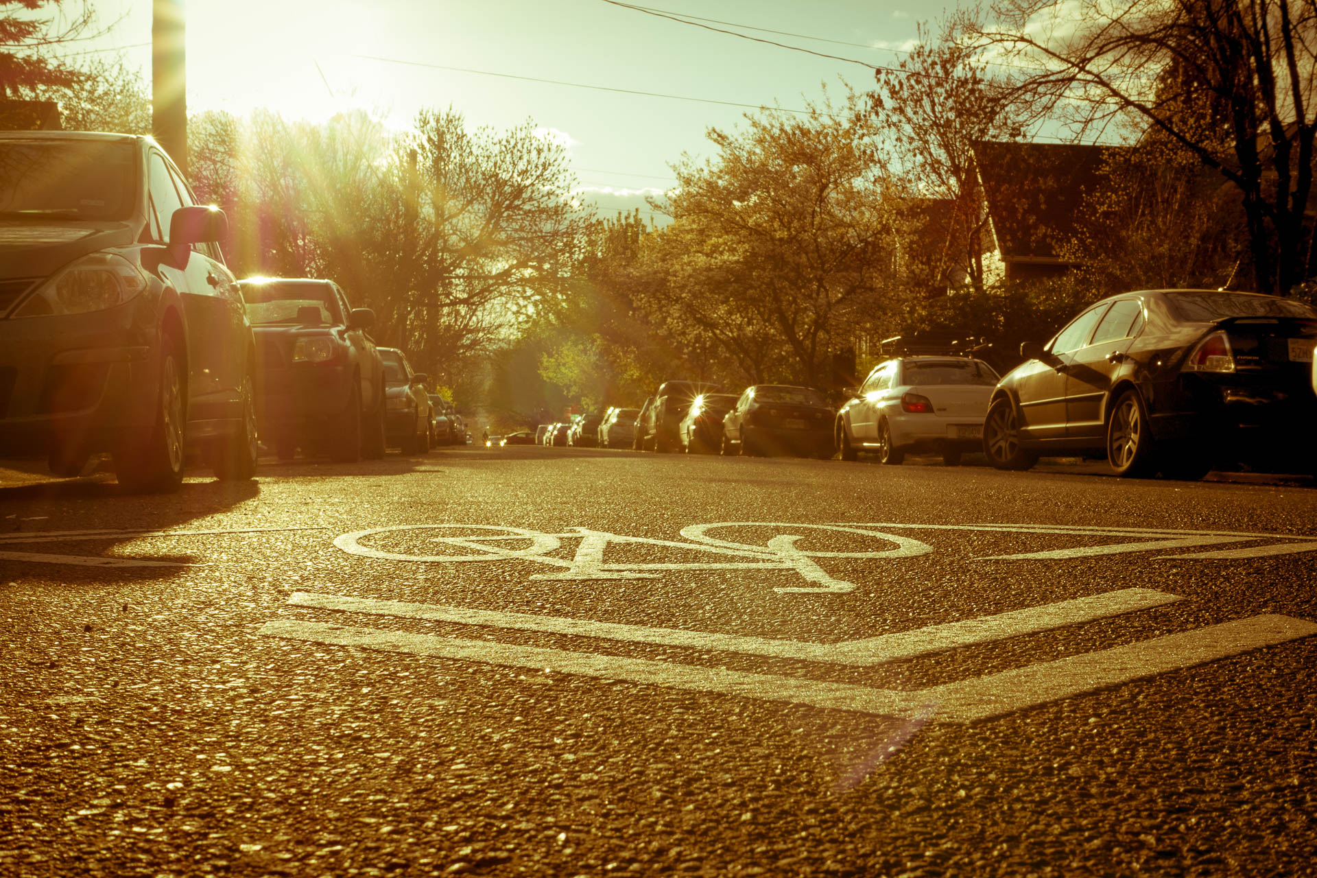 Bike Lane