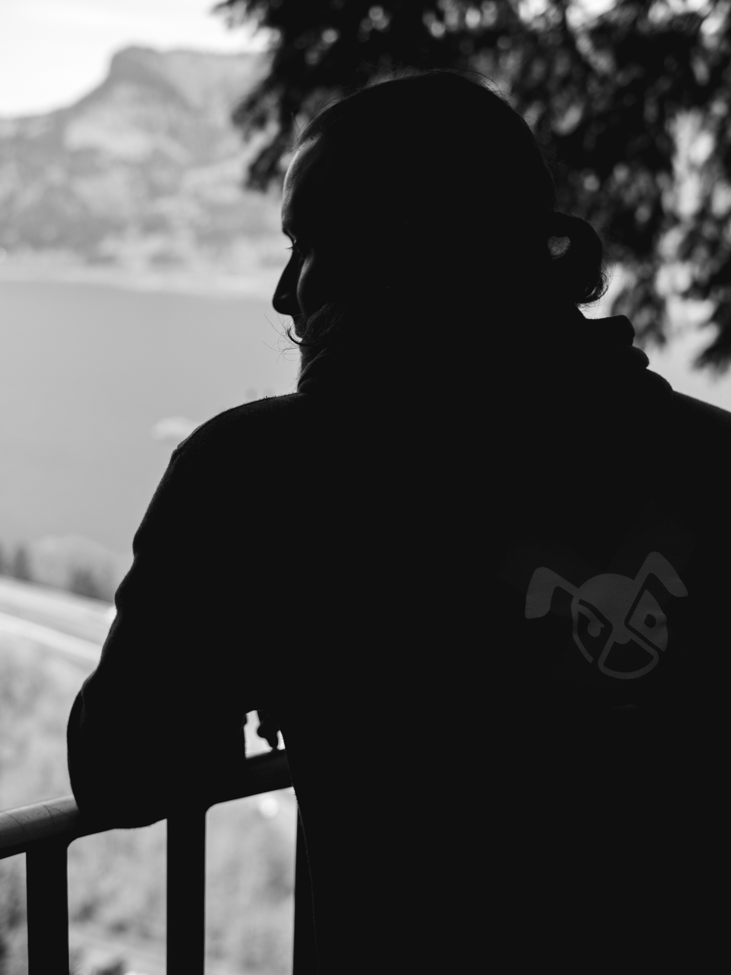 fabian silhouette