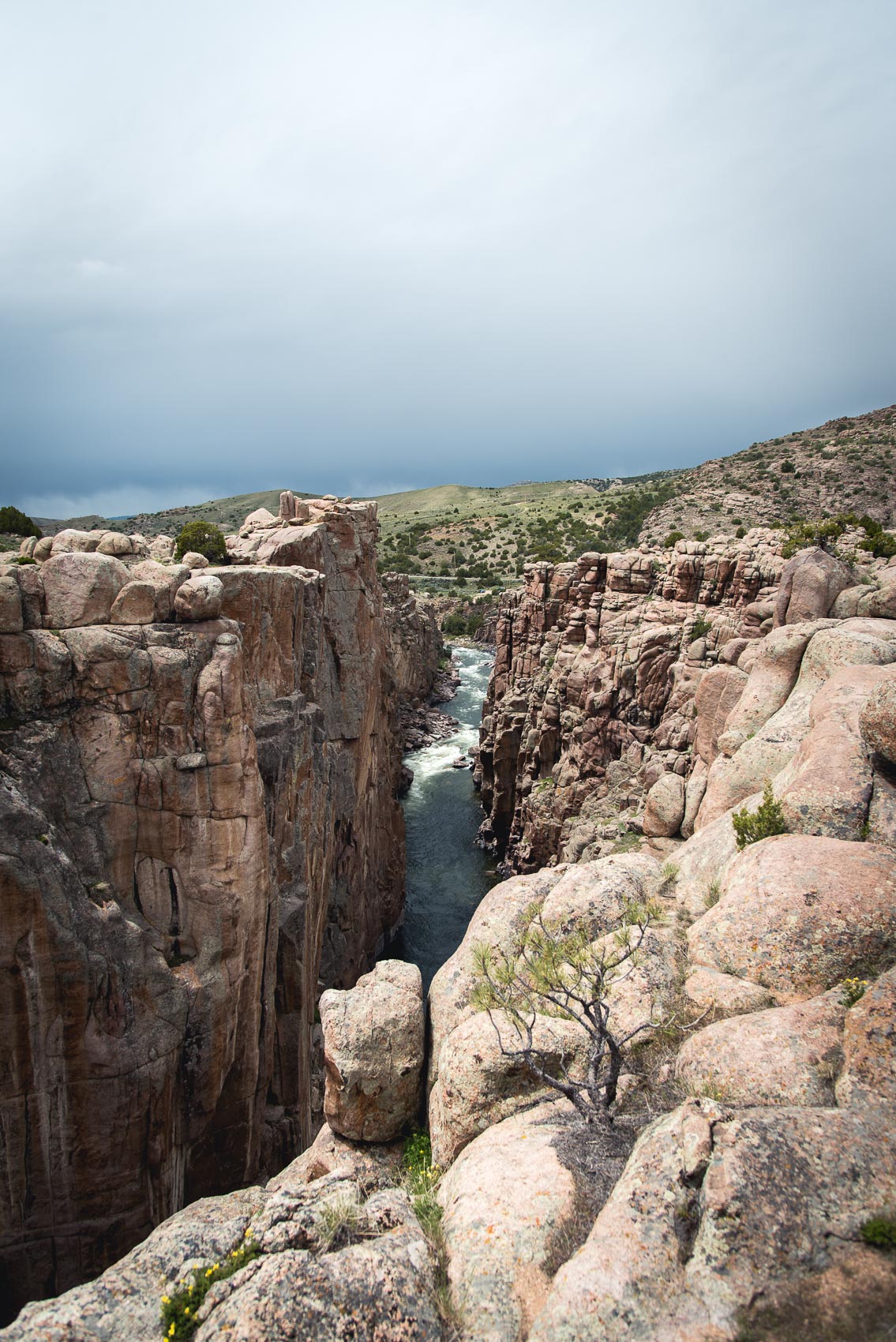 portrait of the canyon