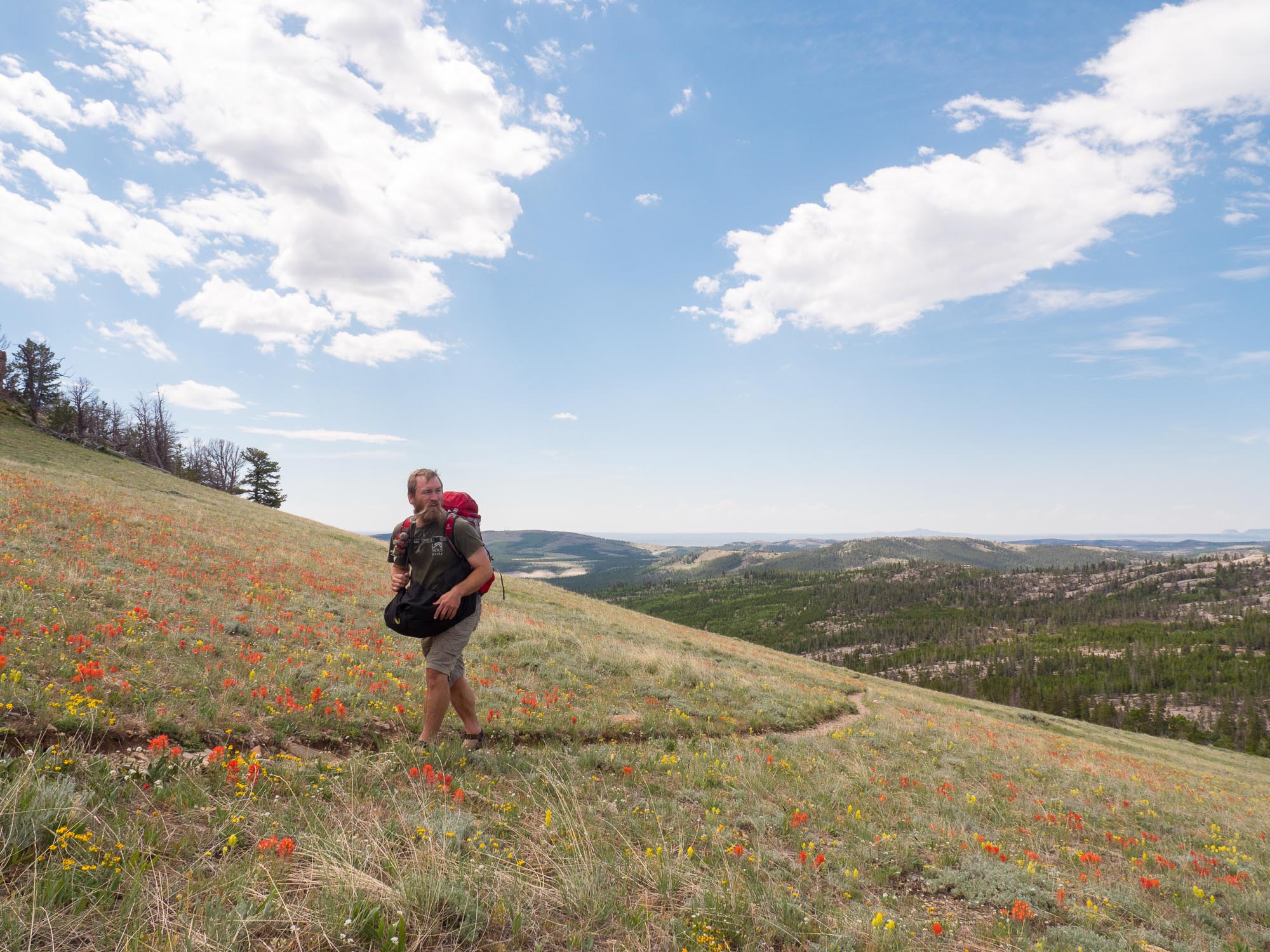 Will and flowers