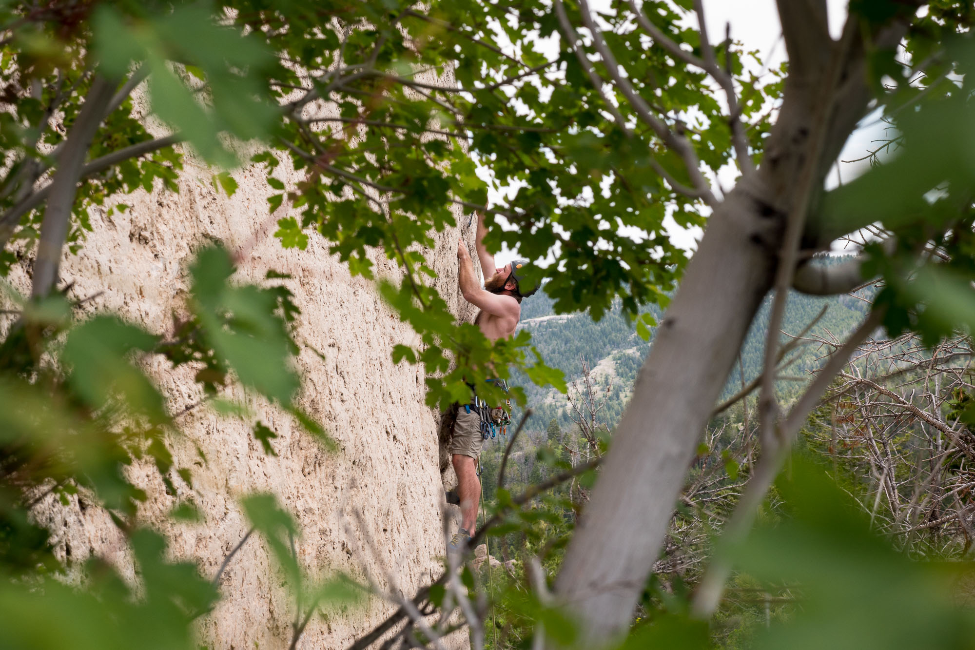 Will on a 10b