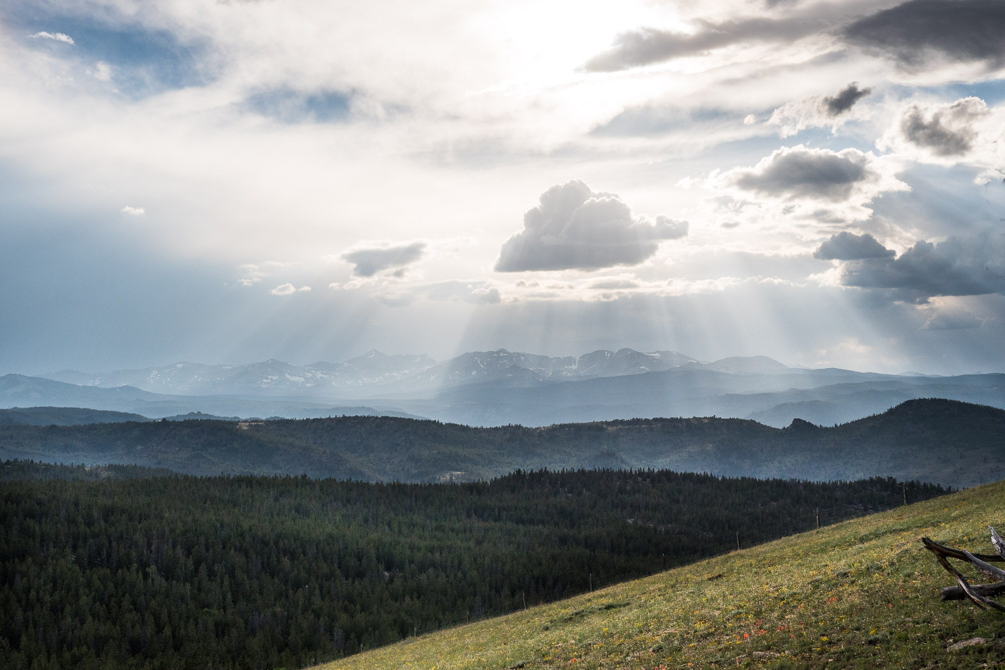 the winds and sundogs