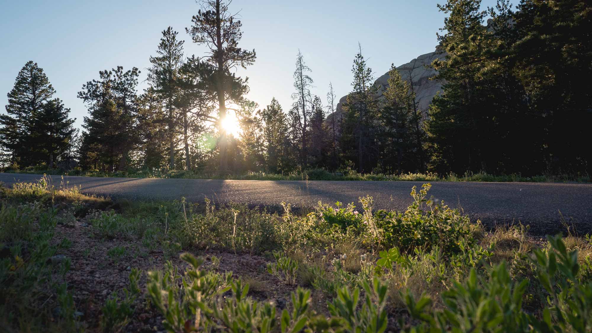 grass road sunset