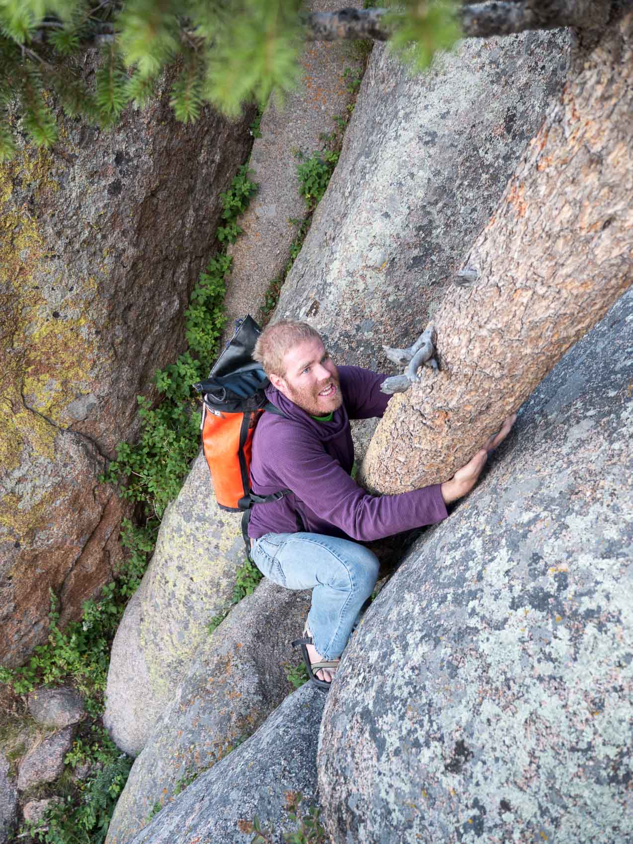 ben climb tree