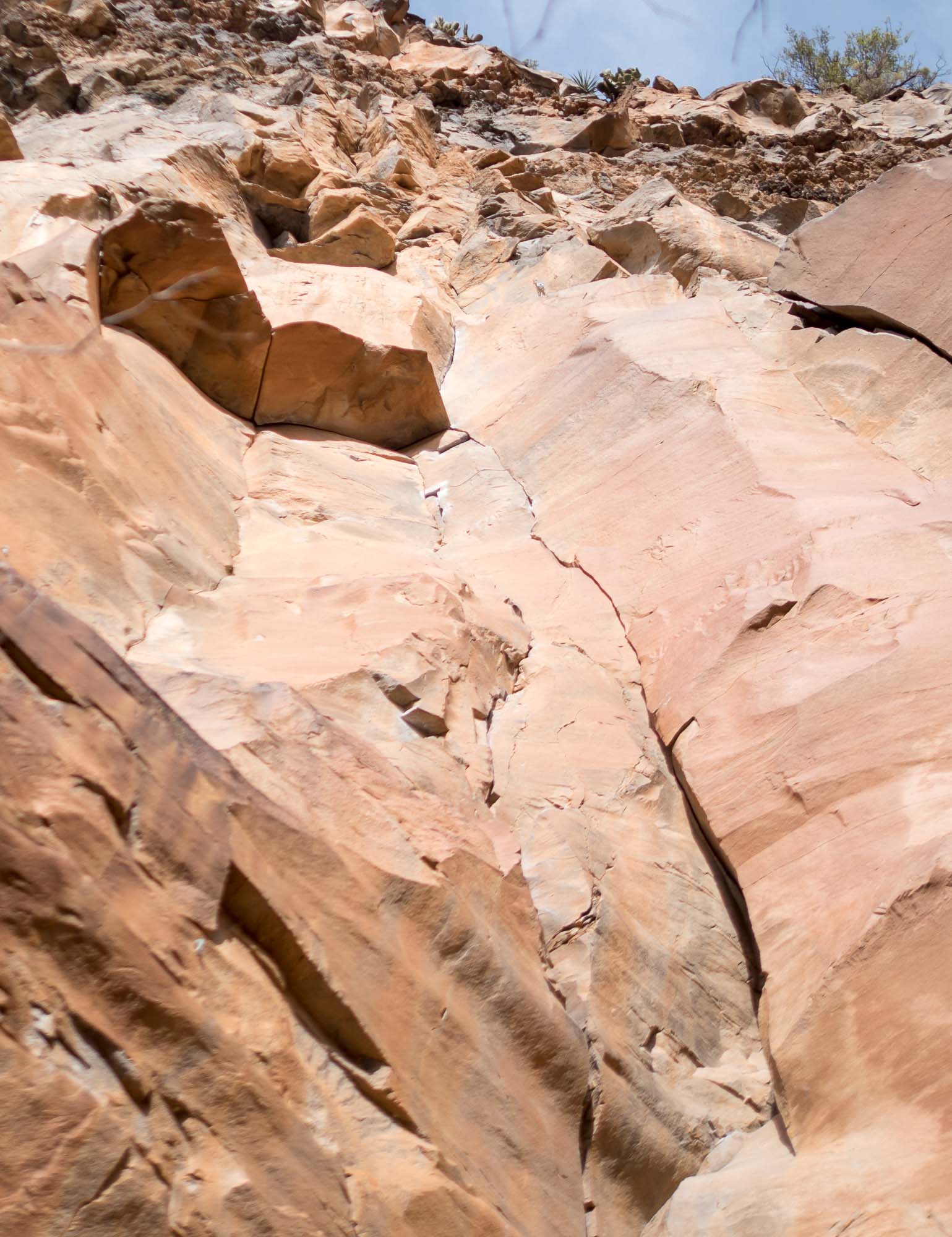 Vertebrae at The Waterfall