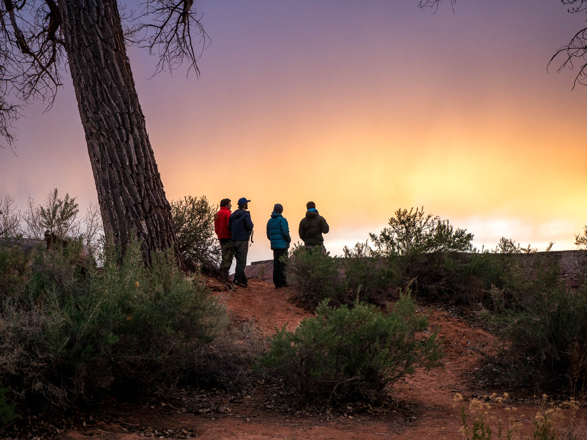 group sunset