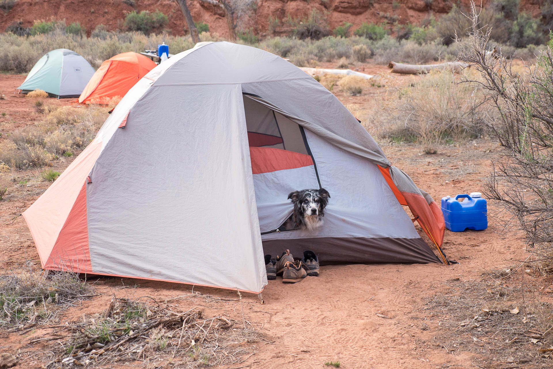 tent hank