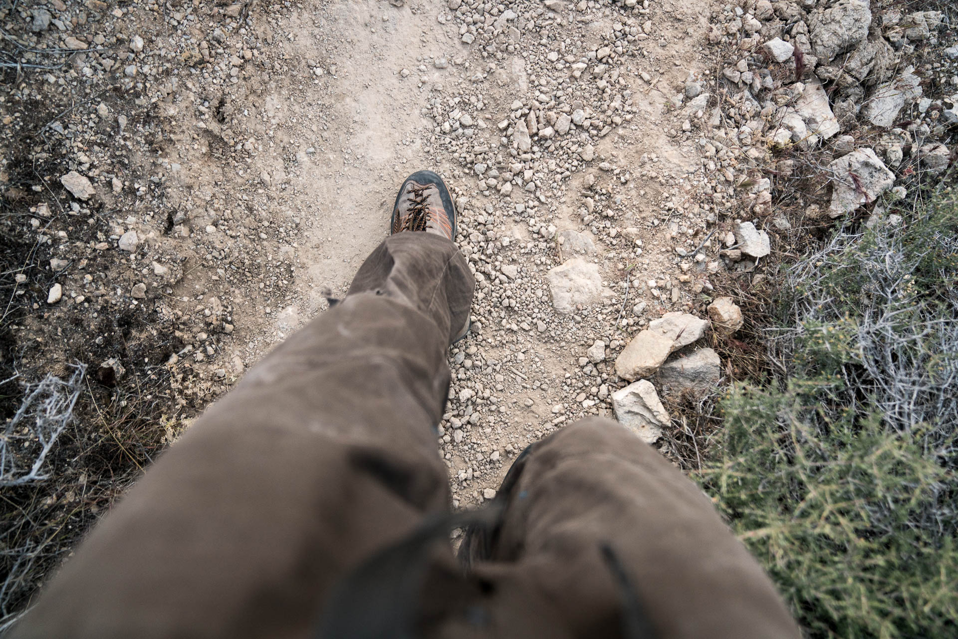 hiking legs