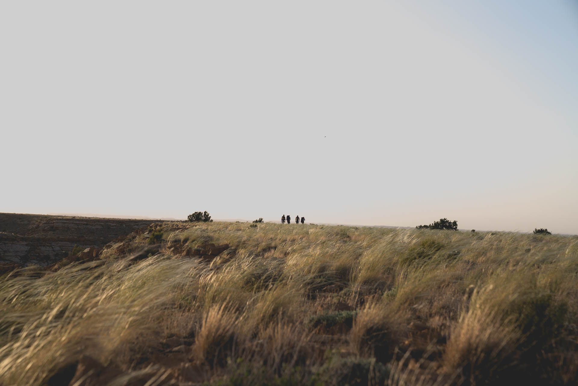 four silhouettes