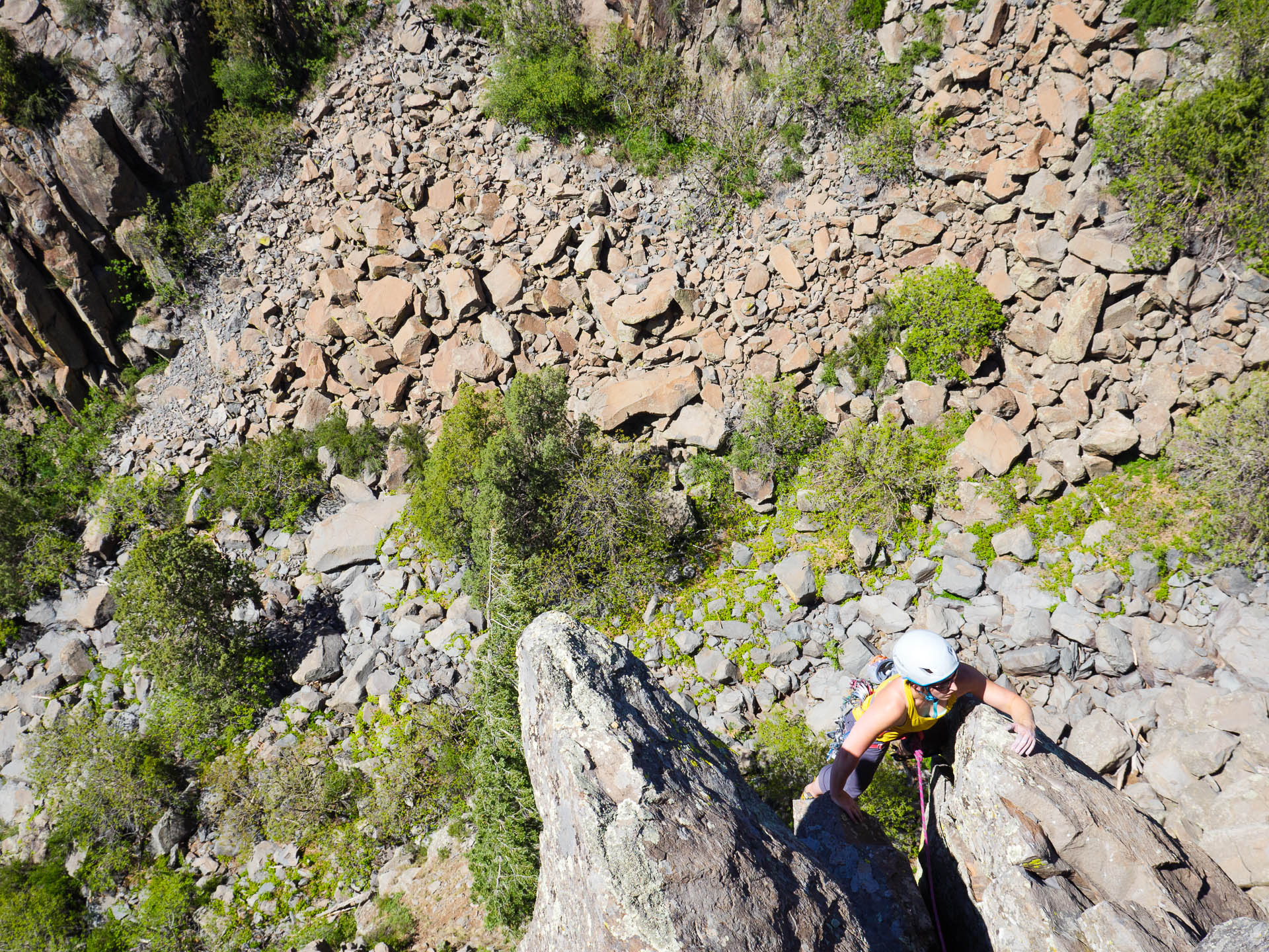 megan topping out