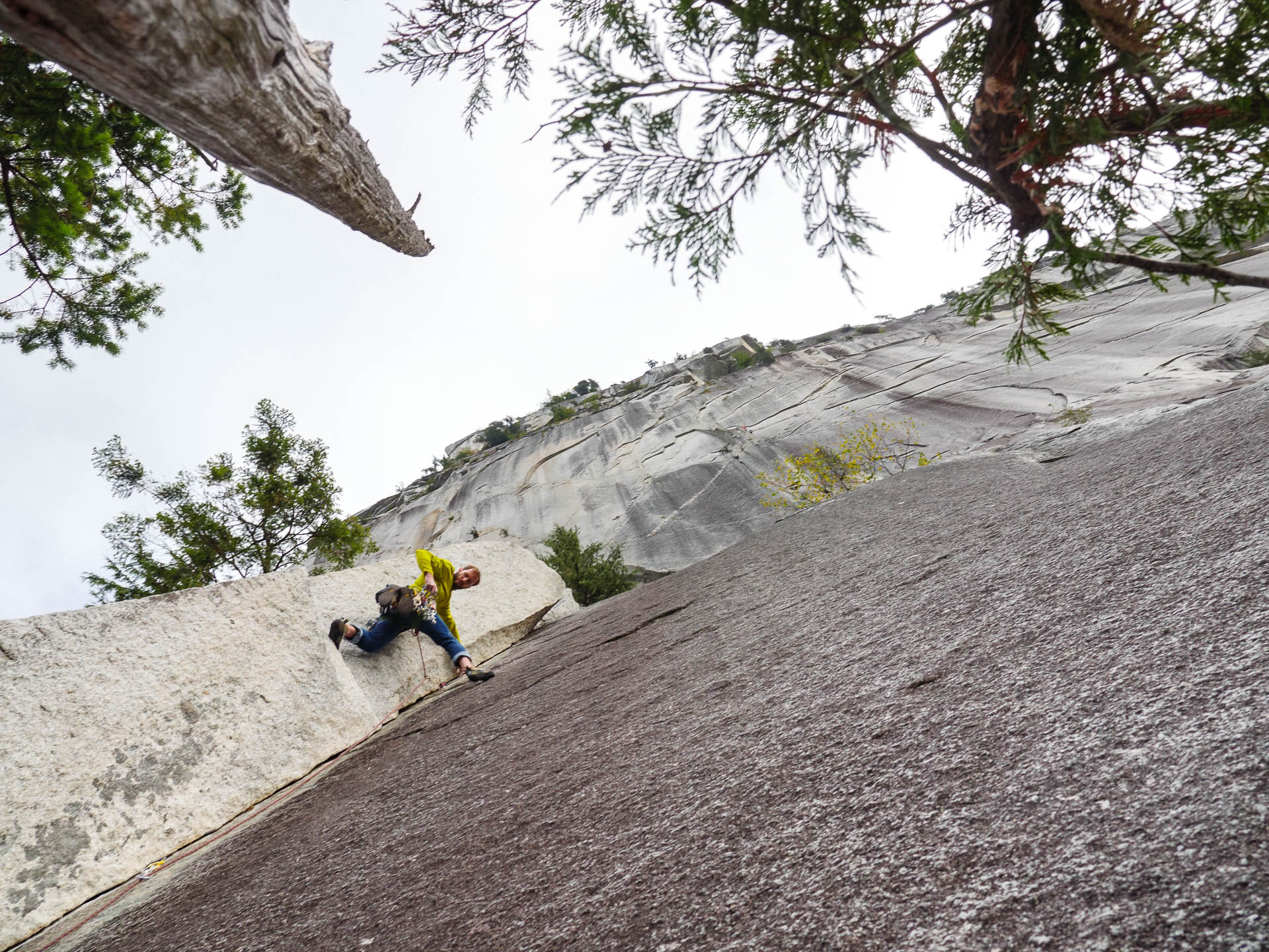 wide angle nate in corner