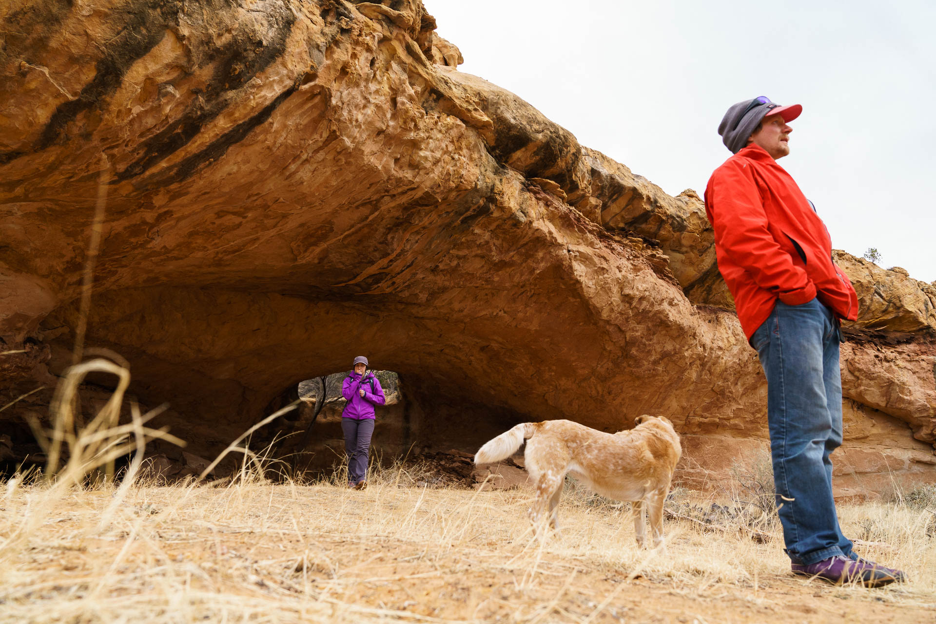 group arch