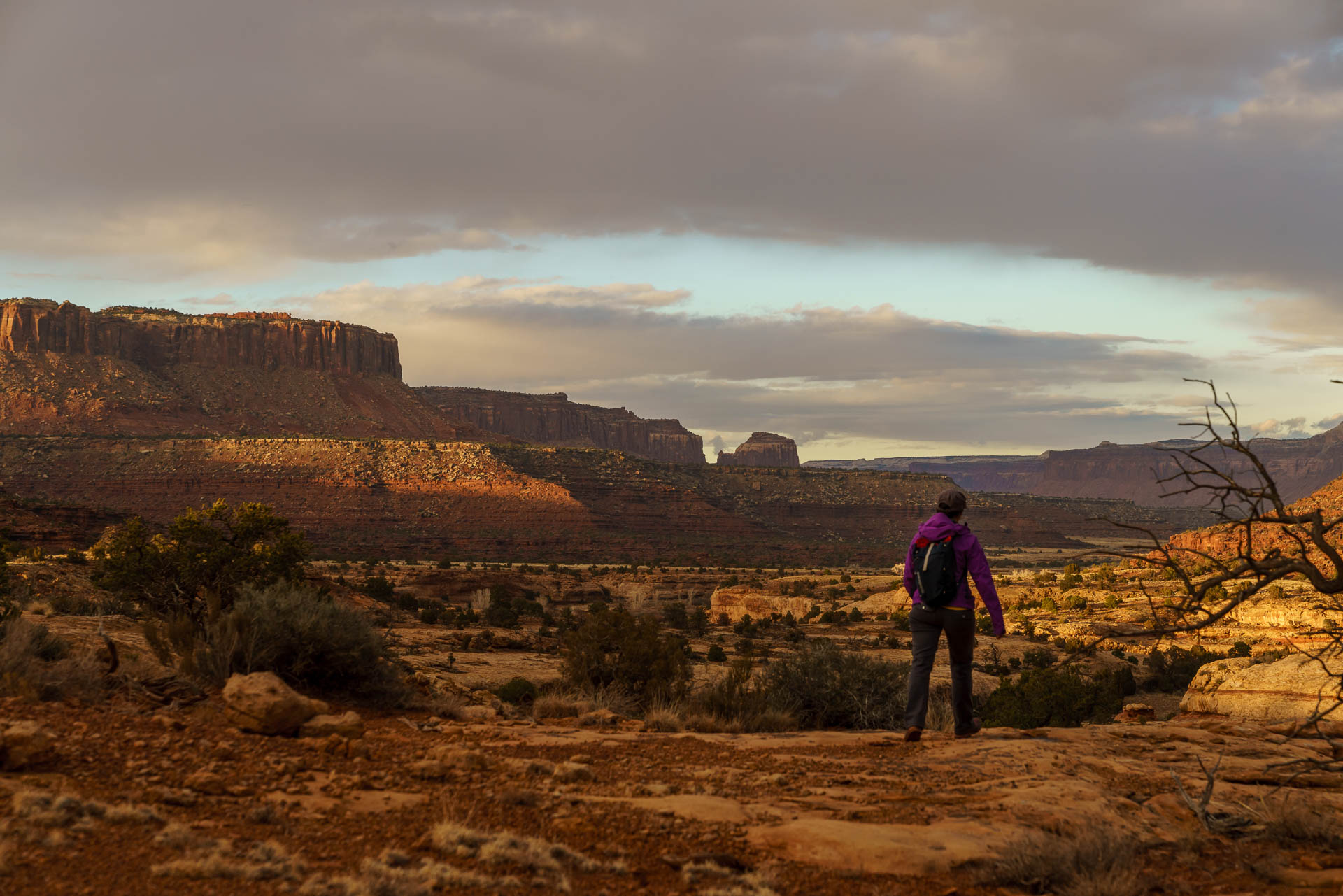 megan landscape