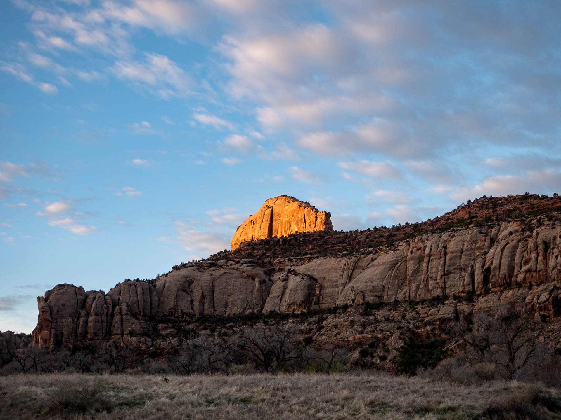 Half Dome at the Creek